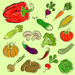 Set of bright vegetables. Hand-drawing.