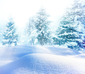 Christmas tree in snow