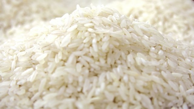 Portion of Rice (not loopable)