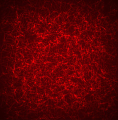 Red Texture Background  for you design