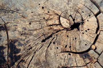 Wood background and stone