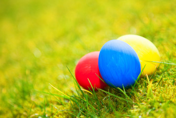Colorful easter eggs on green meadow