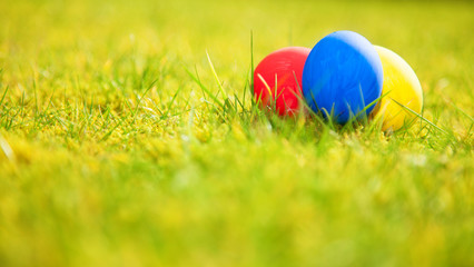 Colorful easter eggs on green meadow
