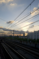 Fototapeta premium 포토시리즈