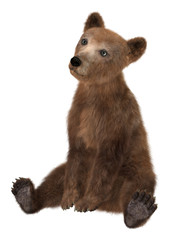 Little Brown Bear