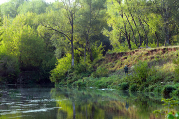 morning on the river