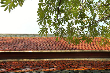 old roof