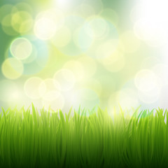 Fototapeta na wymiar natural background of grass