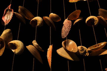 Shell mobile