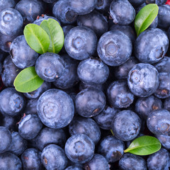 blueberries