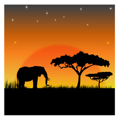 Fototapeta na wymiar Silhouettes of an elephant