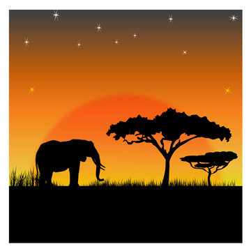 Silhouettes of an elephant
