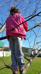 Subida al &aacute;rbol