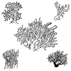 Vector icon set with coral