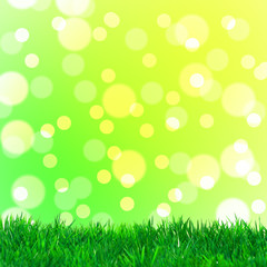 Fototapeta premium Bokeh und Gras