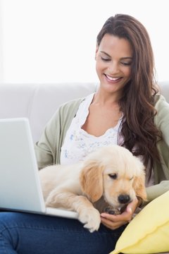 Woman With Dog Using Laptop On Sofa