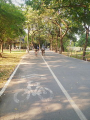 Bikes on bicycle lane in a park