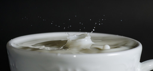 details of a cup of milk