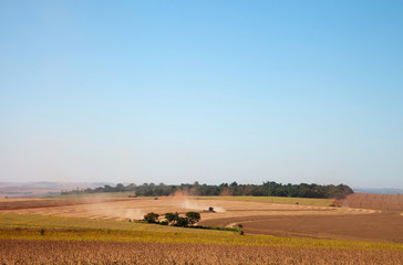 Soybean field being harvested.