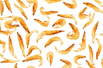 dried small shrimps,backlighting