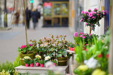 Beautiful flowers sold on outdoor flower shop