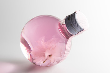 sakura liquor