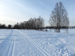 Fototapeta premium neige