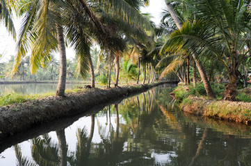 River of the backwaters at Kollam