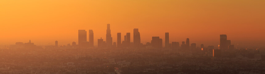 Fototapeta premium Downtown Los Angeles skyline