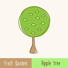 Fototapeta premium Garden fruit trees - single tree