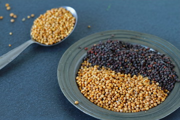 Yellow and black mustard seeds