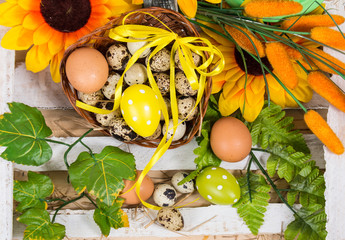  Quail and chicken eggs in a basket with spring flower.
