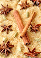 Spices cinnamon sticks,  cardamon and anise