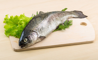 Raw fresh trout