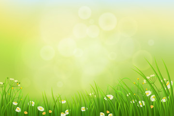 Fototapeta premium Spring nature background with green grass and flowers