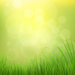 Spring nature background with green grass, vector illustration