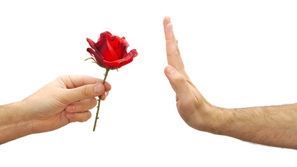 Hand refuses a flower or declines gift isolated on white