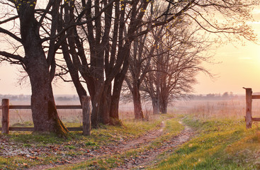 Obraz premium April evening in the park