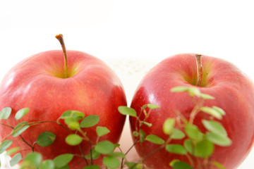 美味しそうな林檎