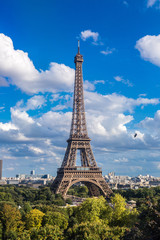 Fototapeta premium Eiffel Tower in Paris, France