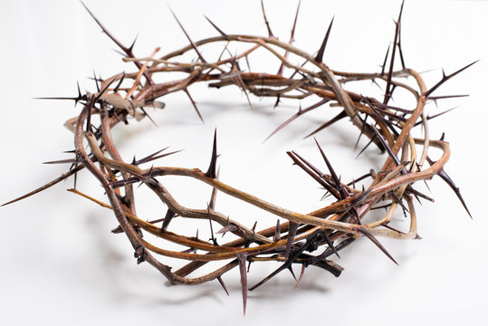 A crown of thorns on a white background - Easter. religion.