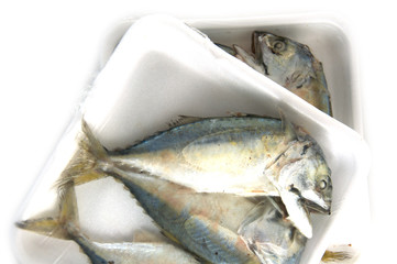 Mackerels steamed in a pack on white background