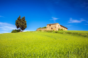 Fototapeta na wymiar Tuscany at spring