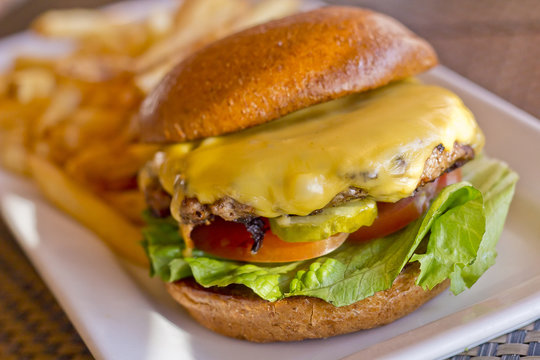 Cheeseburger and Fries