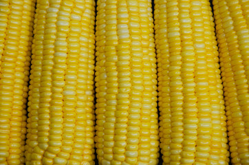 Yellow Kernel of Fresh Sweet Corn (close up).