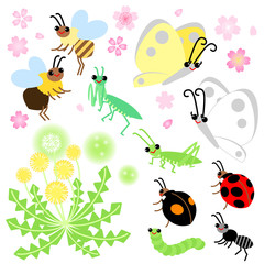 春の花　昆虫
