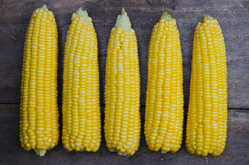 Fresh Sweet Corn On The Wood Table.