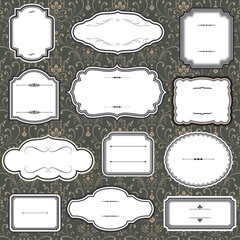 Vintage Frames on Damask Background © Giraphics