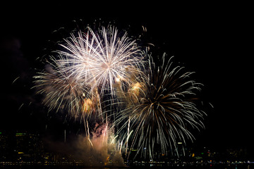 Colorful fireworks display for celebrations.