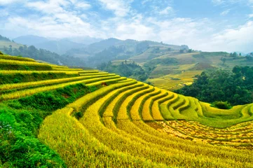 Crédence en verre imprimé Mu Cang Chai Rice fields on terraced of Mu Cang Chai, YenBai, Vietnam